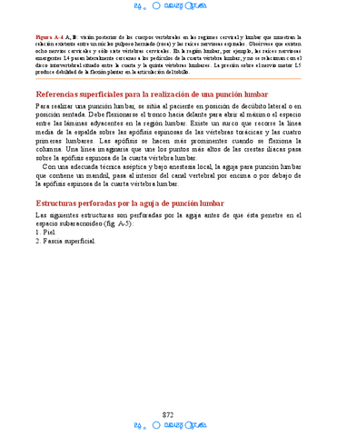 Huesos-del-m-iembro-sup-23.pdf