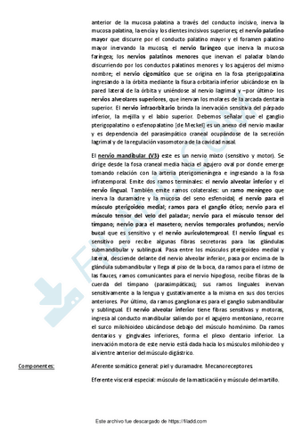 Lengua-8.pdf