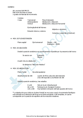 HOMBRO-13.pdf