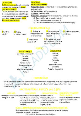 Nutri-preguntas-16.pdf