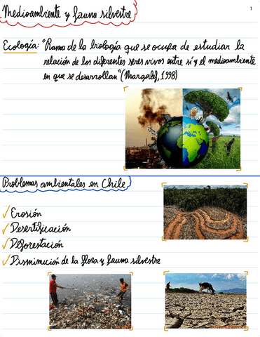 Medioambiente-y-fauna-silvestre.pdf