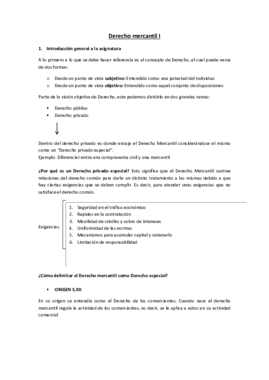 APUNTES MERCANTIL I.pdf
