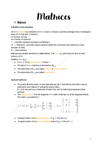 1.Matrices.pdf