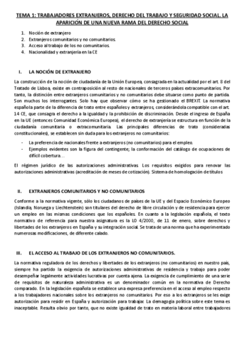 APUNTES-DERECHO-DE-LOS-EXTRANJEROS.docx.pdf
