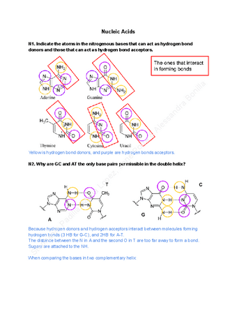 3.-Nucleic-Acids-Exercises.pdf