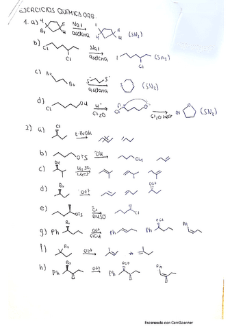 relacion-organica-resuelta.pdf