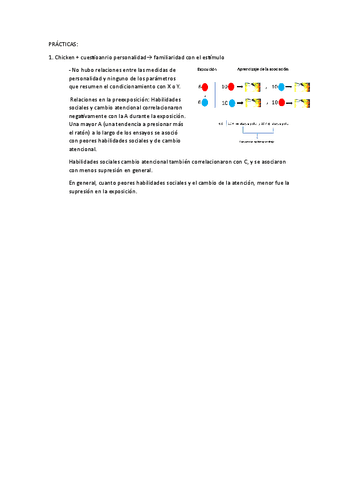 PRACTICAS-ATENCION.pdf