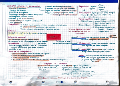 Mapes-conceptuals-de-la-teoria.pdf