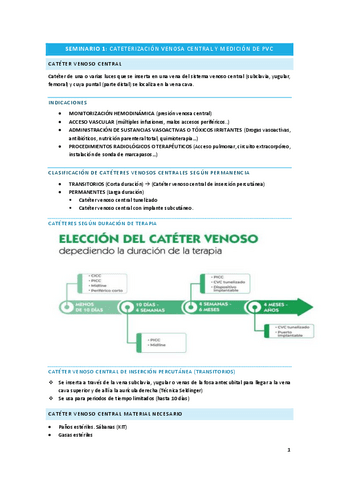 Todos-seminarios-PRACT-3.pdf