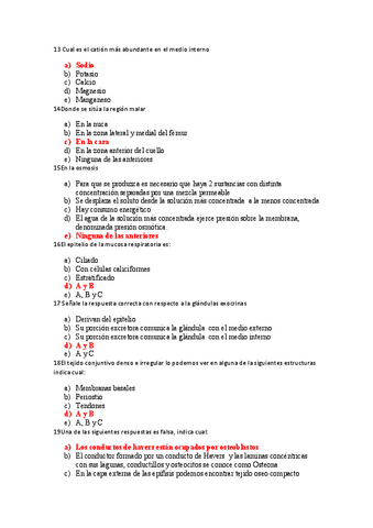 preguntas-morfo-I.pdf