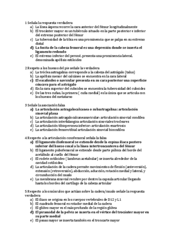 Preguntas-examen-APL.pdf
