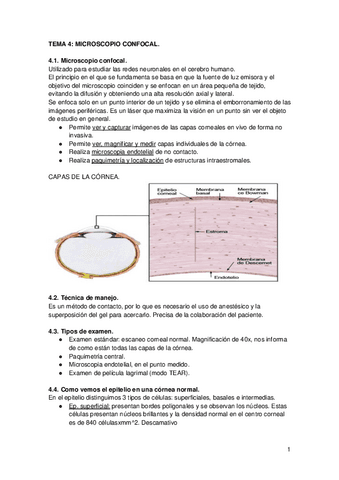 TEMA-4.pdf