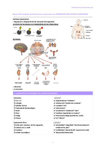 10.-Problemas-del-sistema-endocrino.pdf