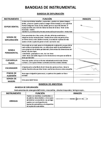 Las-bandejas-2-evaluacion.-Imane-Eddaoudi-1-1-3.pdf