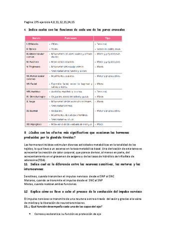 ejercicios-tema-12-tbe-2.pdf
