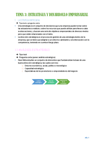 TEMA-3-ESTRATEGIA-Y-DESAROLLO-EMPRESARIAL.pdf