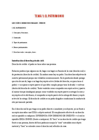 TEMA-1-DERECHO-PRIVADO.pdf