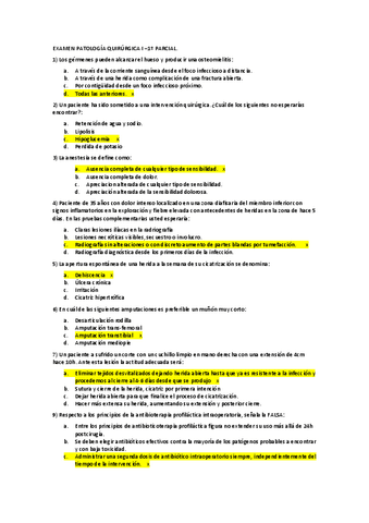 1er-parcial-pato-preguntas-juntas.pdf