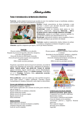 Apuntes-tema-123-y-4.pdf