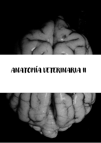 ANATO-II.pdf