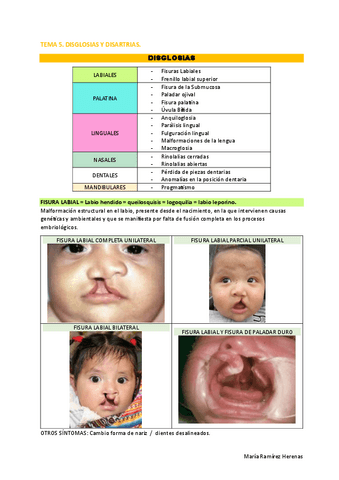 Tema-5-diartrias-y-disglosia.pdf
