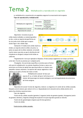 Tema 2  Multiplicación y reproducción en vegetales.pdf