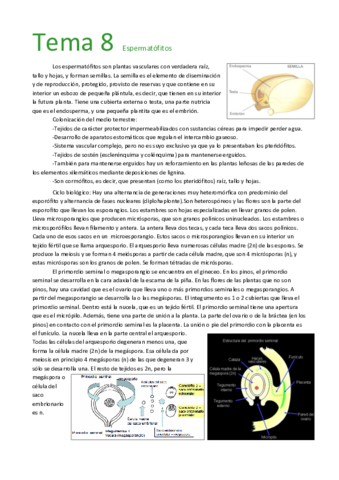 Tema 8  Espermatófitos.pdf