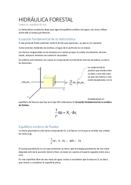 Tema III.pdf