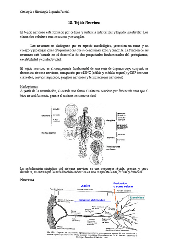 Tema-18-Citologia.pdf