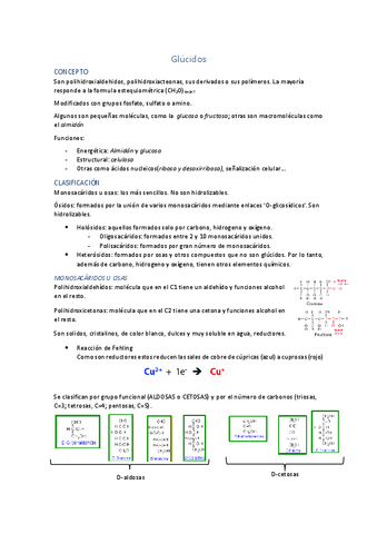 Glucidos.pdf