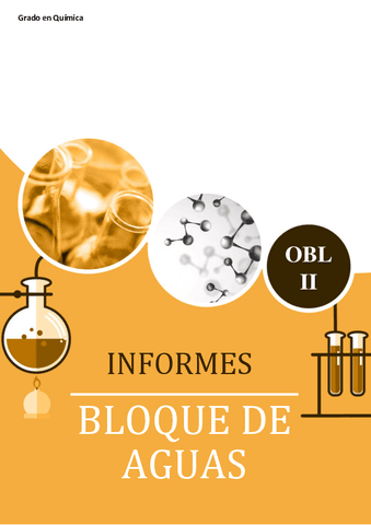 INFORME-BLOQUE-AGUAS..pdf