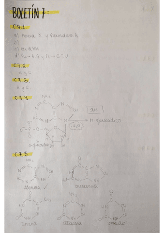 ejercicios-boletin-7-ac.nucleicos.pdf