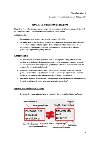 TEMA-3.-LA-APLICACION-DE-PRUEBAS.pdf