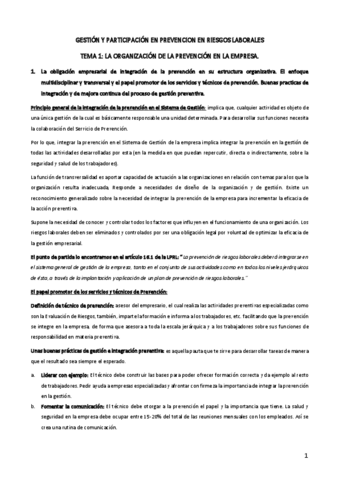 TEMAS-PREVENCION-II-APROBADO-8-DE-10.pdf