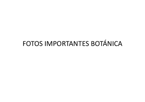 fotos-importantes-examen-botanica.pdf