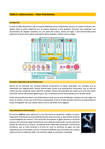 Zoologia-2n-parcial.pdf