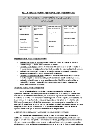 TEMA-4-Y-5.pdf