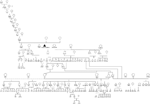 Esquema-trabajo-final.pdf