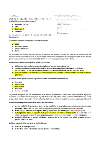 POOL-PREGUNTAS-POR-TEMAS-TIPO-TEST.pdf