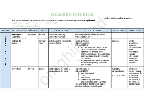 Miembro Inferior Articulaciones Y Musculos Pdf