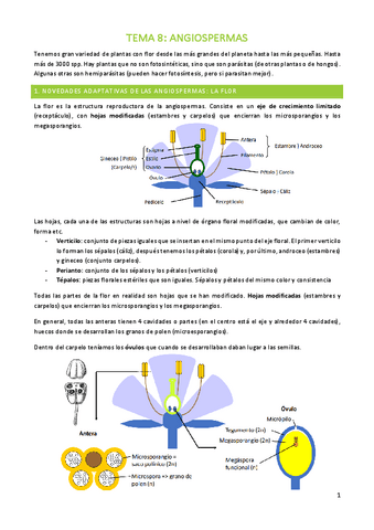 TEMA-8-BOTANICA.pdf