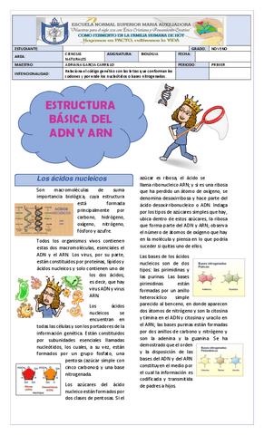 ESTRUCTURA-BASICA-DEL-ADN-Y-ARN-NOVENOS.pdf