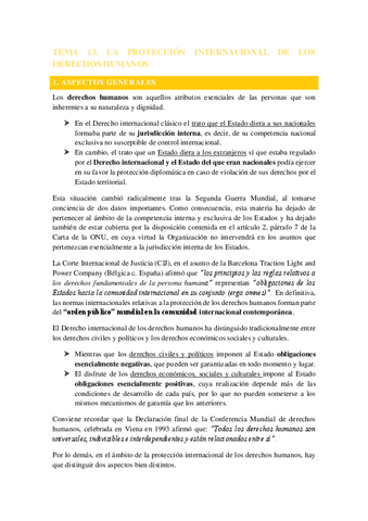 TEMA-13.-LA-PROTECCION-INTERNACIONAL-DE-LSO-DERECHOS-HUMANOS.pdf