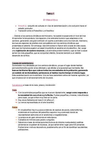 Resumen-Neolitico.pdf