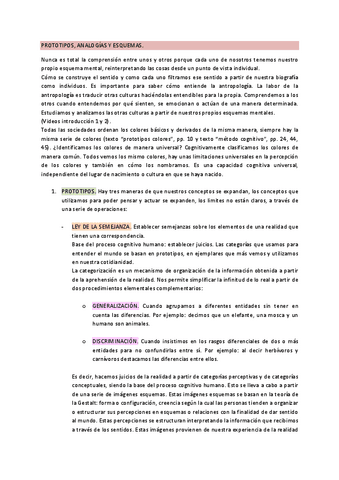 PROTOTIPOS-ANALOGIAS-Y-ESQUEMAS.pdf