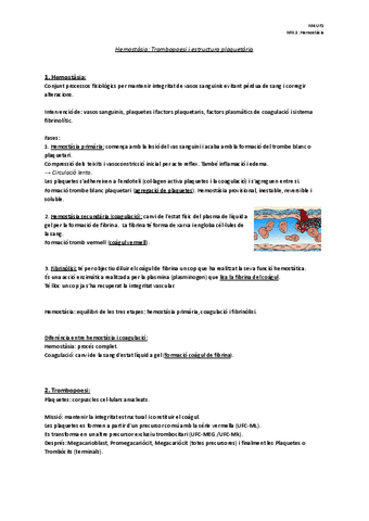 NF4.1-Hemostasia.pdf