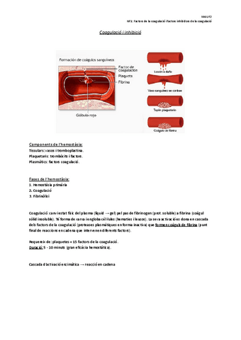 NF1-Factors-de-la-coagulacio-i-factors-inhibidors-de-la-coagulacio.pdf