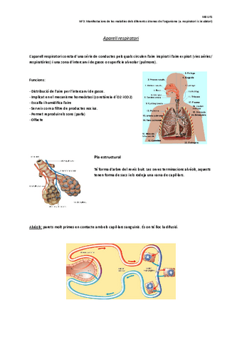 NF3-Manifestacions-de-les-malalties-dels-diferents-sistemes-de-lorganisme-respiratori-i-circulatori.pdf
