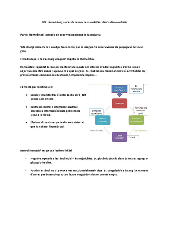 NF-2-proces-de-desenvolupament-de-la-malaltia-homeostasi.pdf