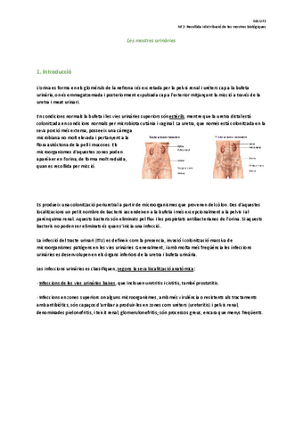NF2-Recollida-i-distribucio-de-les-mostres-biologiques.pdf